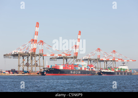 Le navi portacontainer sono caricati al Maher terminali terminale per container nel porto Newark-Elizabeth Terminale Marino. Foto Stock