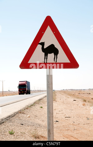 Un cammello che attraversa e segnala la strada statale 40, la strada del deserto che collega Amman e Baghdad, nella regione orientale del deserto di Badia in Giordania. Foto Stock