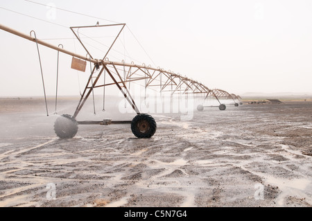 A energia solare di perno centrale del sistema di irrigazione la spruzzatura di acqua nel deserto orientale del Regno Hascemita di Giordania. Foto Stock