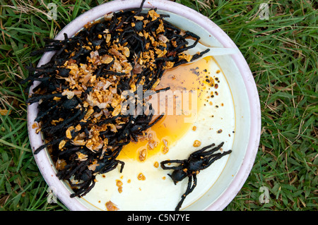 Tarantulas fritto in vendita in Skuon, Cambogia Foto Stock