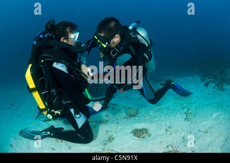 Rebreather immersioni subacquee, Oceano Indiano, Maldive Foto Stock