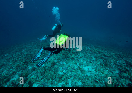 Rebreather immersioni subacquee, Oceano Indiano, Maldive Foto Stock