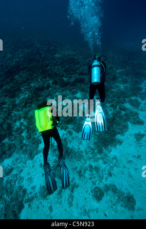 Rebreather immersioni subacquee, Oceano Indiano, Maldive Foto Stock