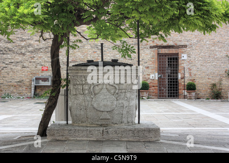 Cortile della Università Ca' Foscari di Venezia, Italia Foto Stock