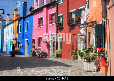 Case colorate in Isola di Burano Venezia Italia Foto Stock
