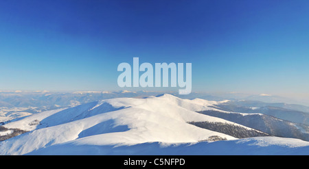 Montagna innevata creste vista panoramica. Nei Carpazi. Polonyna Borzhava. L'Ucraina Foto Stock