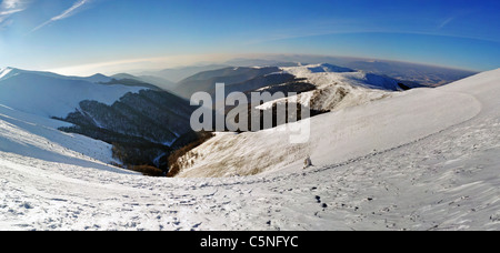 Montagna innevata di creste con la foresta di abeti. Le montagne dei Carpazi. Polonyna Borzhava. Zakarpattya. L'Ucraina Foto Stock