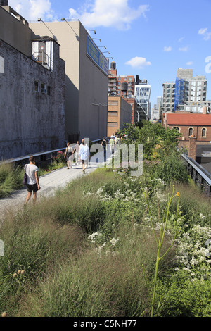 Highline Park, sezione 2 inaugurato nel giugno 2011, Manhattan, New York City, Stati Uniti d'America Foto Stock