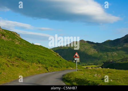 Cartello stradale - ripida collina, 25% - in poco Langdale valley, Parco Nazionale del Distretto dei Laghi, Cumbria, England, Regno Unito Foto Stock