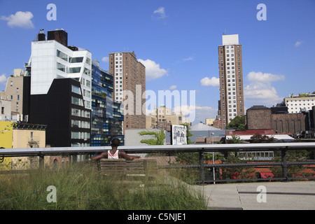 Highline, elevati parco pubblico sulla ex ferrovia, Manhattan, New York City, Stati Uniti d'America Foto Stock