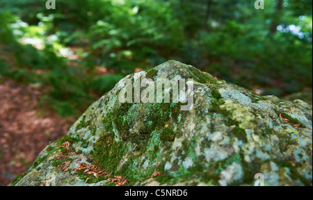 Lusatian Montagne, mountain Luz, Repubblica Ceca Foto Stock