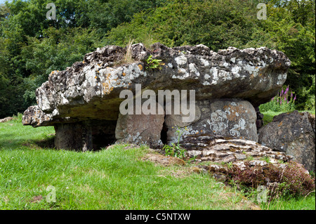 Tinkinswood neolitico megalitiche sepoltura camera sito neolitico Cowbridge South Wales UK Foto Stock