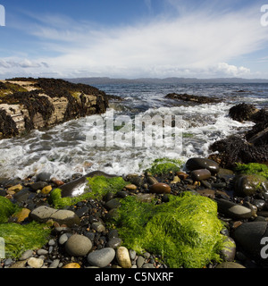 Rottura d'onda oltre le alghe ricoperta di rocce e ciottoli sulle rive di Loch Slapin, Glasnakille, Isola di Skye, Scotland, Regno Unito Foto Stock