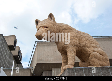 Urban fox al South Bank di Londra Foto Stock