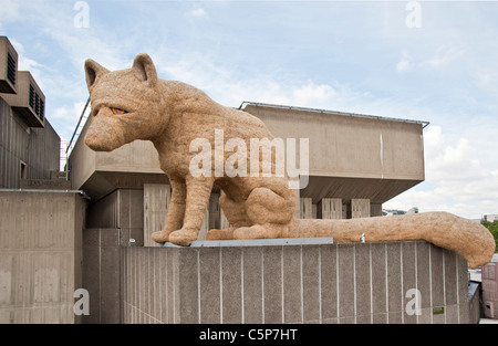 Urban fox al South Bank di Londra Foto Stock