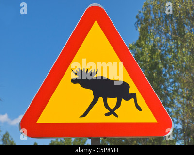 Verkehrszeichen 'Vorsicht Elche' | cartello stradale elks crossing Foto Stock