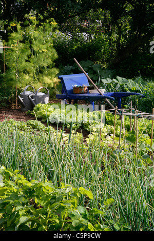 Letti misti di verdure (patate,scalogni, lattuga, ...) in un orto con una carriola e innaffiatoi. Foto Stock