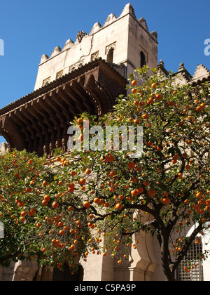 Alberi di arancio contro il vecchio palazzo a Siviglia in Spagna. Foto Stock