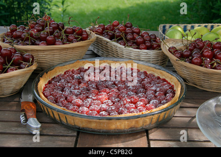 Torta di ciliegie (marasche) sul tavolo da giardino. Foto Stock