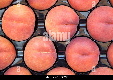 Raccolte le pesche 'Sweet Luisa Rossi' Foto Stock