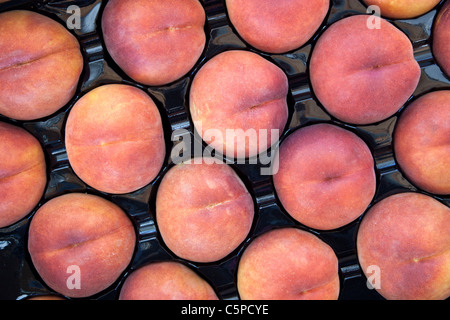 Pesche 'Sweet Luisa Rossi", l'agricoltore di mercato. Foto Stock