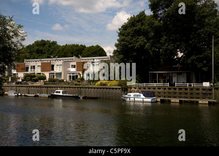 Torta di anguilla isola fiume Tamigi Surrey in Inghilterra Foto Stock