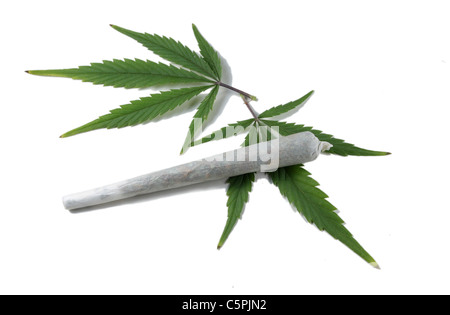 Marihuana sigaretta con due foglie di cannabis isolato Foto Stock