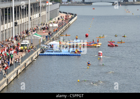 Nuoto Triathlon Foto Stock