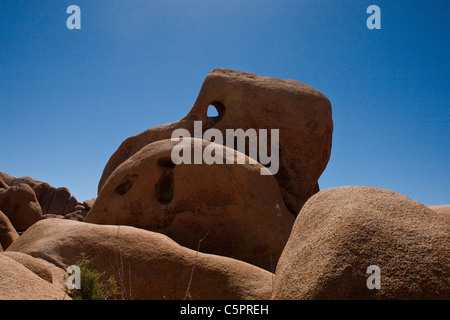 Cranio Rock, Joshua Tree National Park, California, Stati Uniti d'America Foto Stock