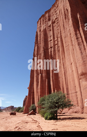 Ripide scogliere di arenaria nella Talampaya National Park, La Rioja, Argentina Foto Stock