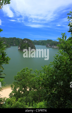 Vista della Baia di Ha Long, Vietnam, famosa destinazione turistica Foto Stock