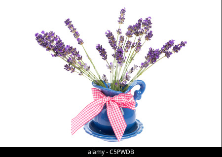 Viola bouquet di fiori di lavanda su sfondo bianco Foto Stock