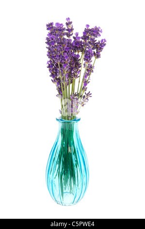 Viola bouquet di fiori di lavanda in vetro blu su sfondo bianco Foto Stock