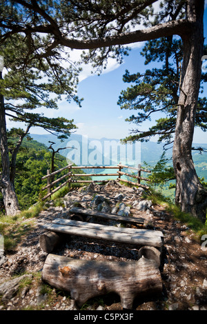 Tara, Banjska Stena, Serbia, vista sul fiume Drina Foto Stock