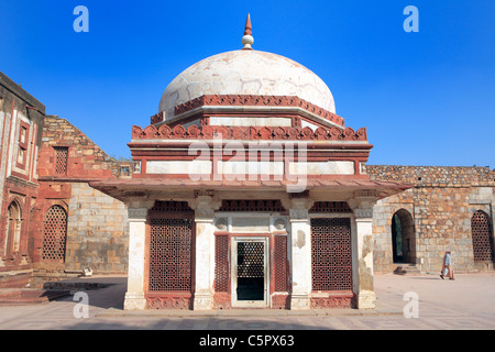 Qutb Minar, Imam Zamin mausoleo (1539), Delhi, India Foto Stock