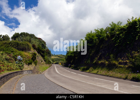 Strada asfaltata a São Miguel Island, Azzorre. Foto Stock