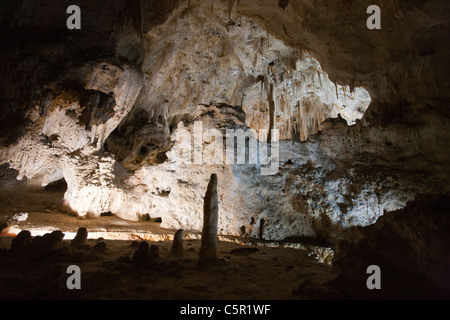 Interior caverne, big room / Sala dei Giganti, parco nazionale di Carlsbad Cavern, Nuovo Messico, Stati Uniti d'America Foto Stock