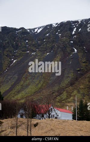 Dal tetto rosso casali di campagna contro la montagna in Islanda Foto Stock