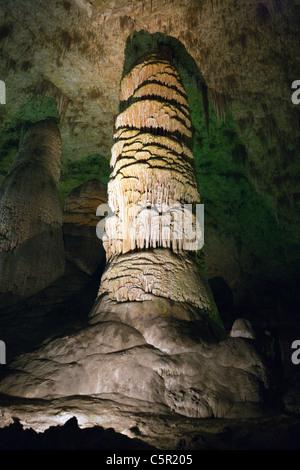 Interior caverne, big room / Sala dei Giganti, parco nazionale di Carlsbad Cavern, Nuovo Messico, Stati Uniti d'America Foto Stock