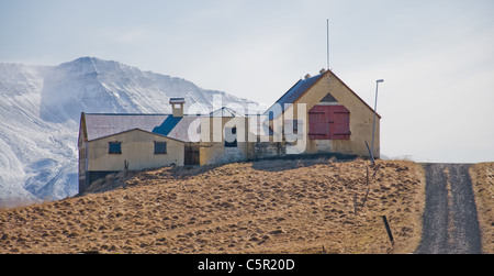 Agriturismo contro la montagna in Hvalfjörður, Islanda Foto Stock