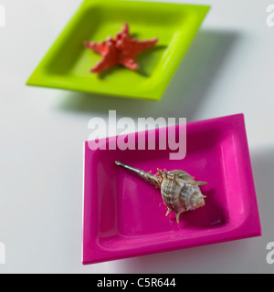 Gli animali del mare su piatti Foto Stock