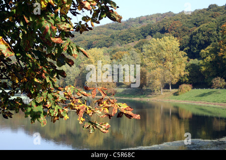 Foglie colorate in autunno contro un paesaggio fluviale Foto Stock