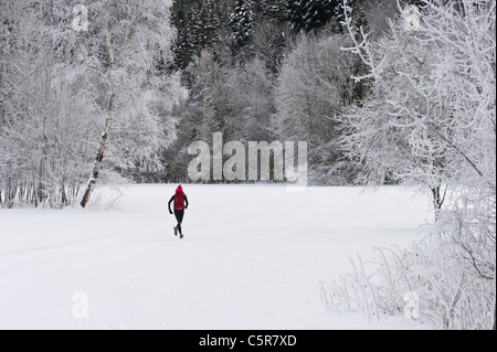 Un pareggiatore in esecuzione attraverso un paesaggio innevato. Foto Stock