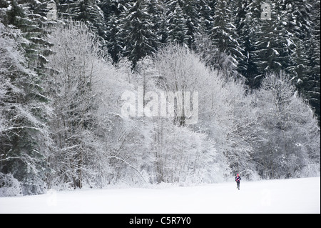 Jogging attraverso un bellissimo paesaggio innevato. Foto Stock