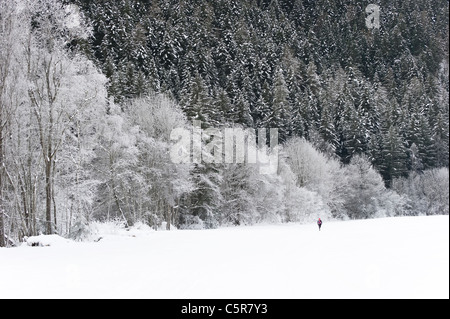 Pareggiatore viene eseguito attraverso il magnifico paesaggio innevato. Foto Stock