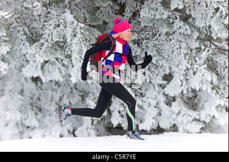 Un pareggiatore che corre lungo un innevato della foresta di pini. Foto Stock