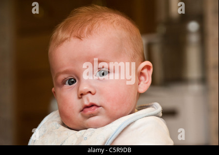 Quattro mesi di età bambino ritratto Foto Stock