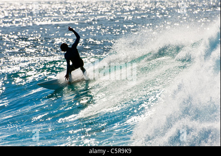 Un surfista carving uno spumante di onda. Foto Stock