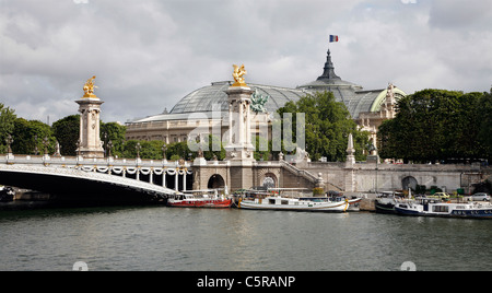 Parigi - Grand Palais e ponte Alexandre III Foto Stock