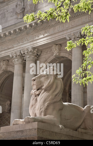 Statua di Lion, New York Public Library, ramo principale, NYC Foto Stock